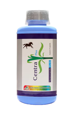 Centra Plus