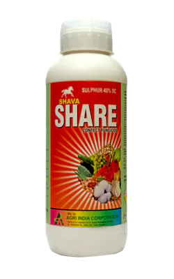 Shava Share