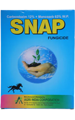 Snap