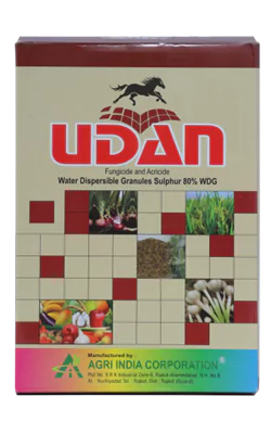 Udan
