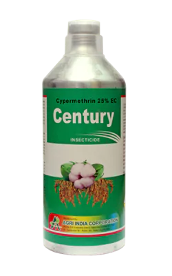 Century